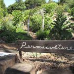 Pertanian Permaculture