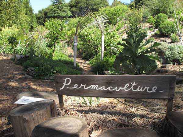 Pertanian Permaculture